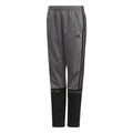 Pantalones cortos deportivos infantiles Adidas Manchester United Gris-0