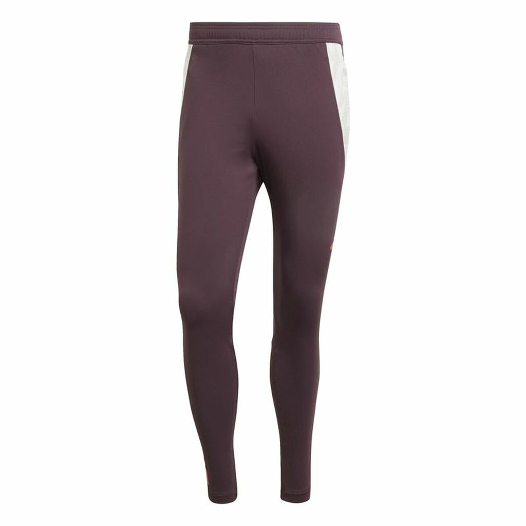 Pantalones deportivos largos Adidas FC Bayern 24/25 Tiro24 Marrón Granate para hombre-0