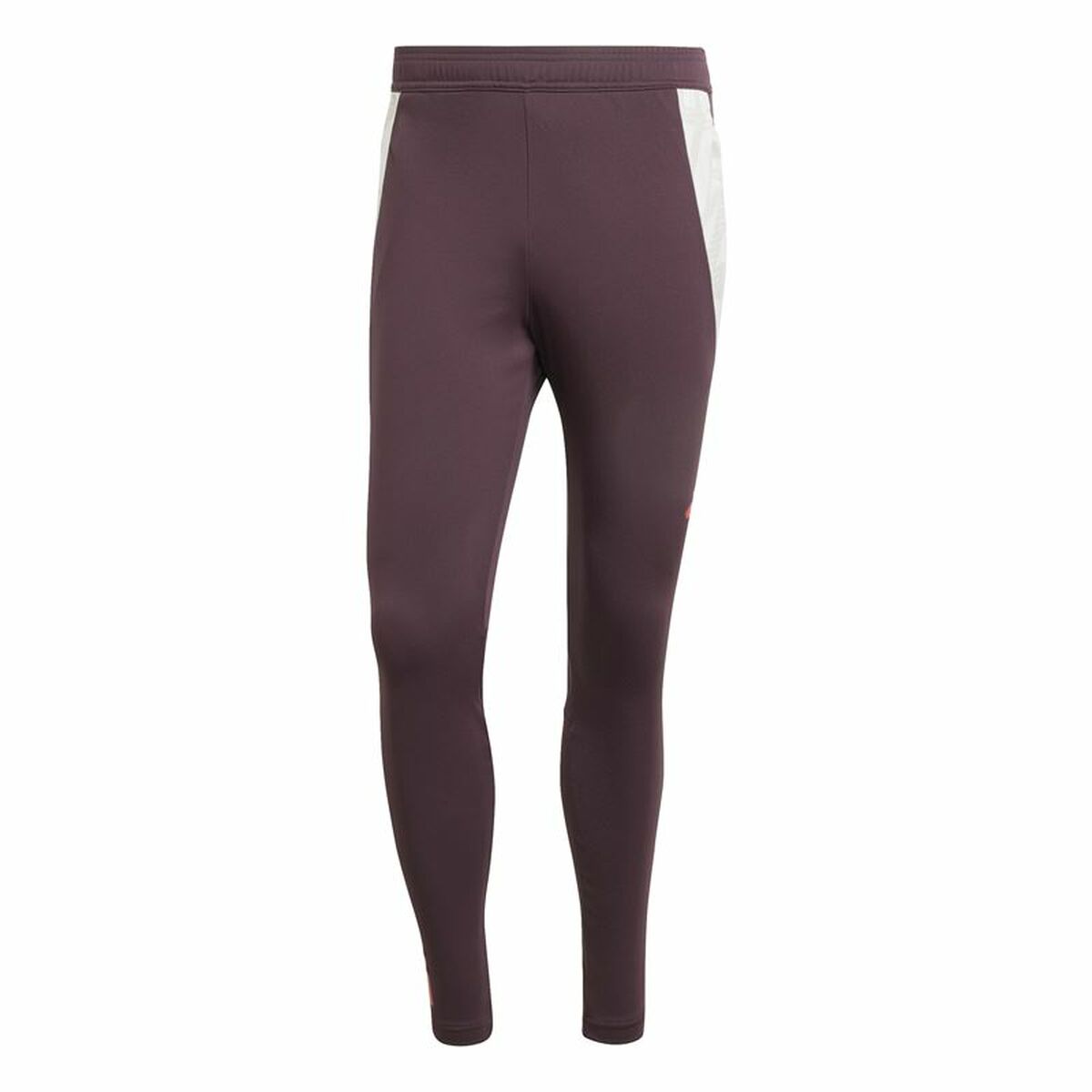 Pantalones deportivos largos Adidas FC Bayern 24/25 Tiro24 Marrón Granate para hombre-0
