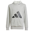 Sudadera con capucha para niña Adidas Big Logo French Terry Hd Gris claro-0