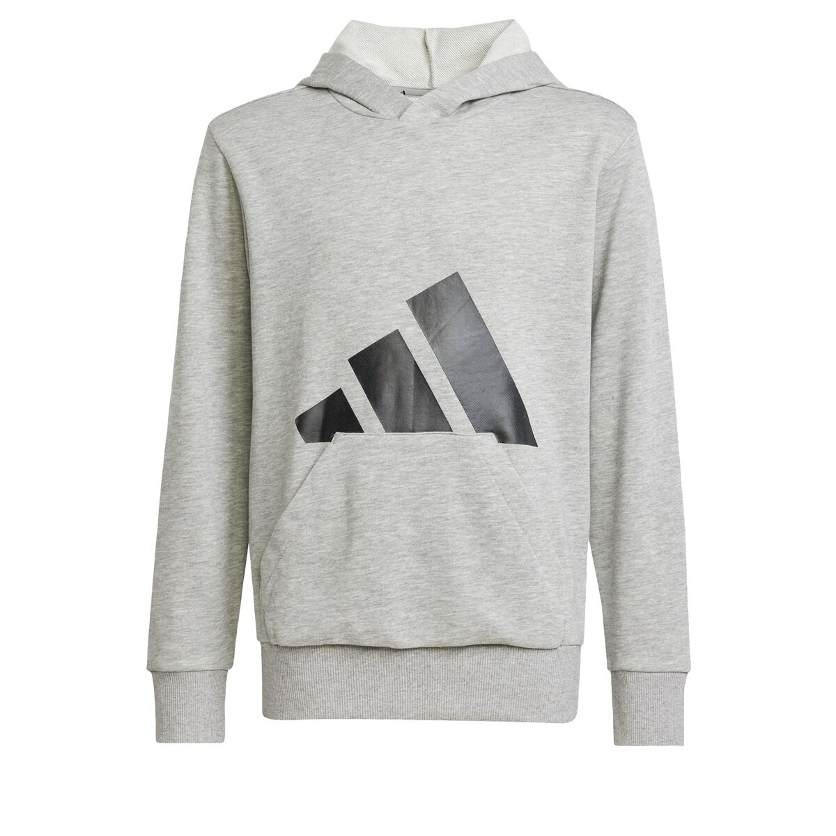 Sudadera con capucha para niña Adidas Big Logo French Terry Hd Gris claro-0
