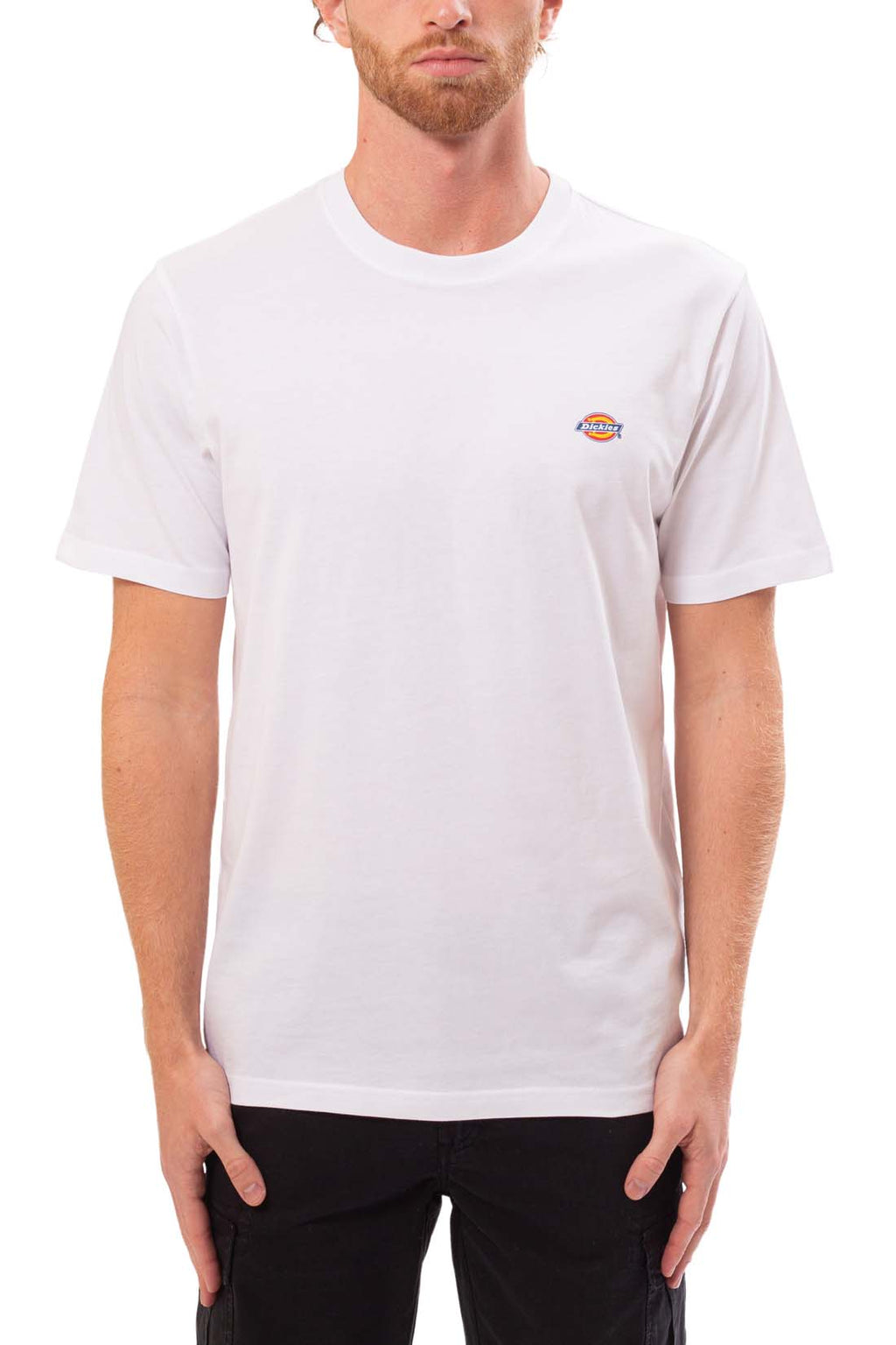 DICKIES - Men's Mapleton T-shirt  - Size XXL-1