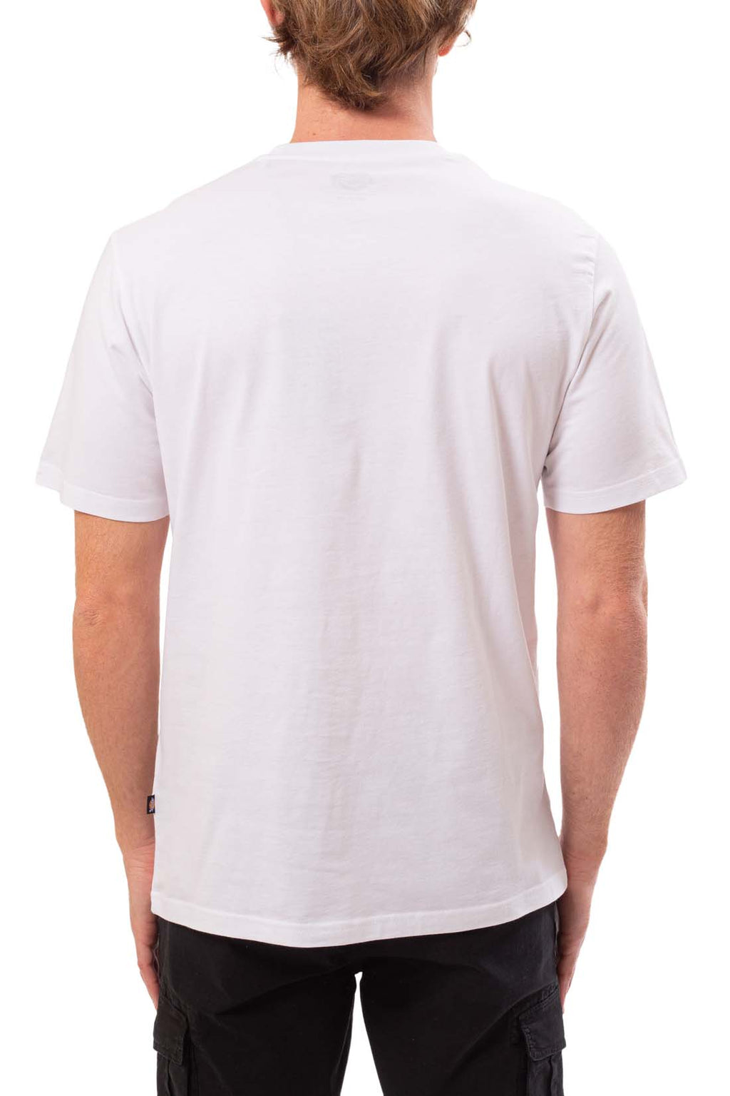 DICKIES - Men's Mapleton T-shirt  - Size XXL-2